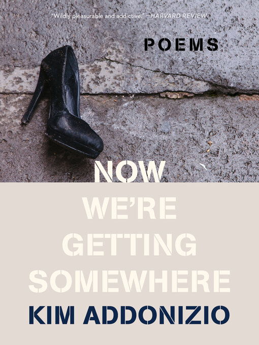 Title details for Now We're Getting Somewhere by Kim Addonizio - Wait list